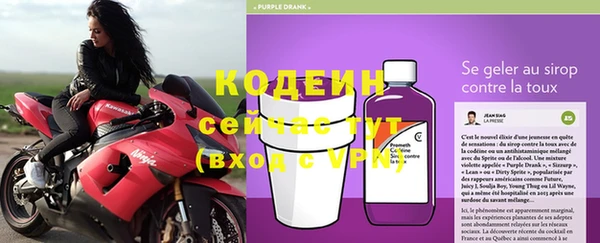 PSILOCYBIN Кукмор