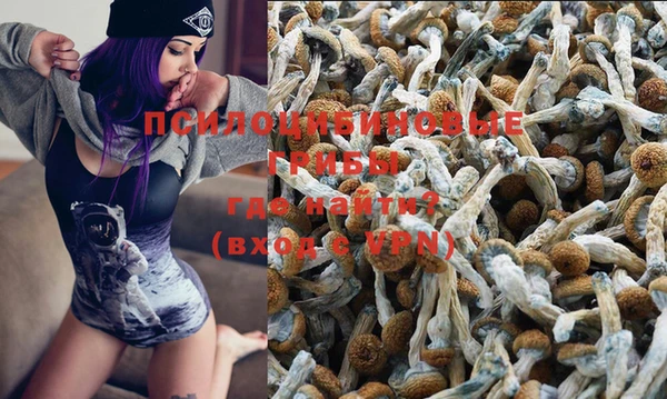 PSILOCYBIN Кукмор